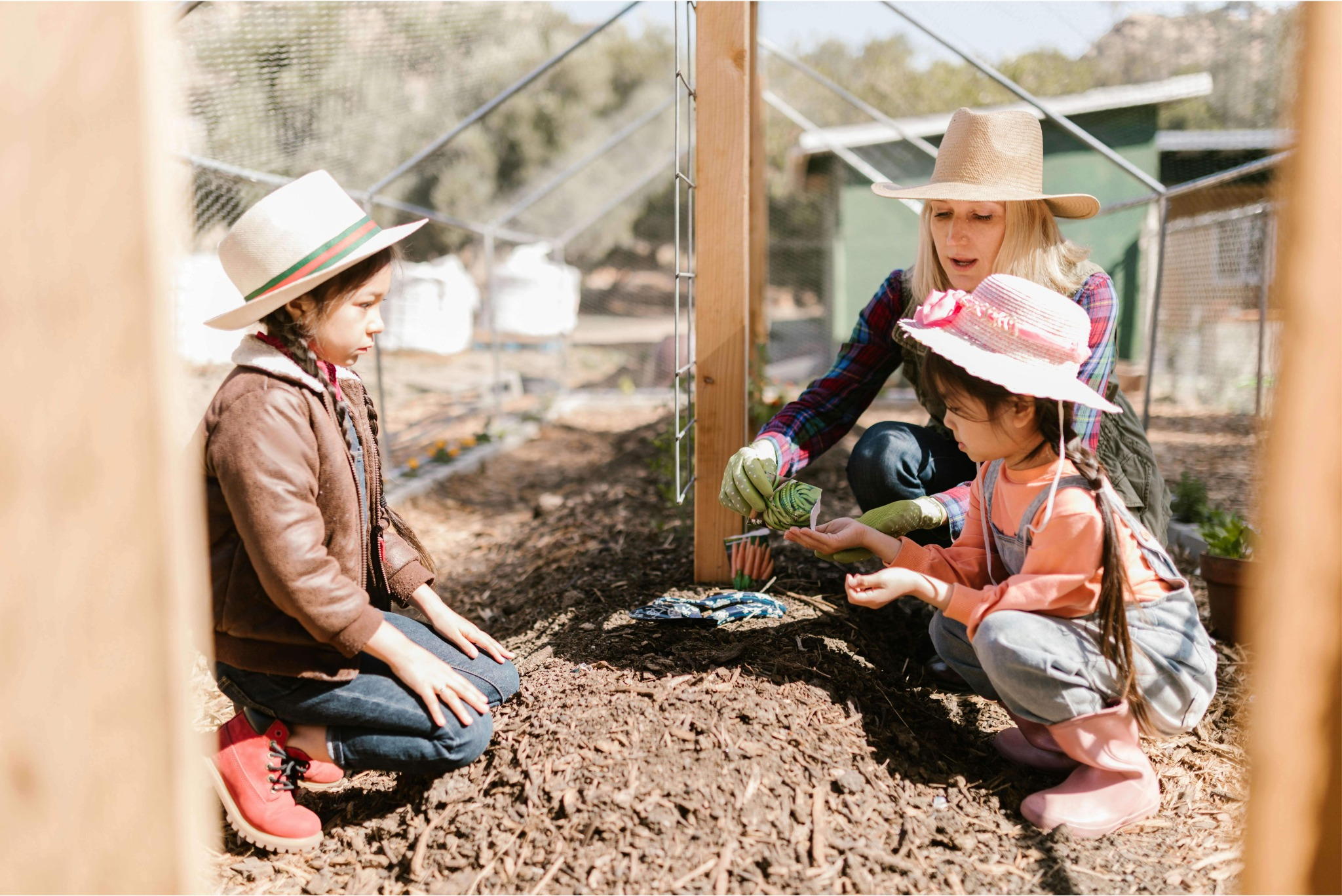 Kids Grow Food!