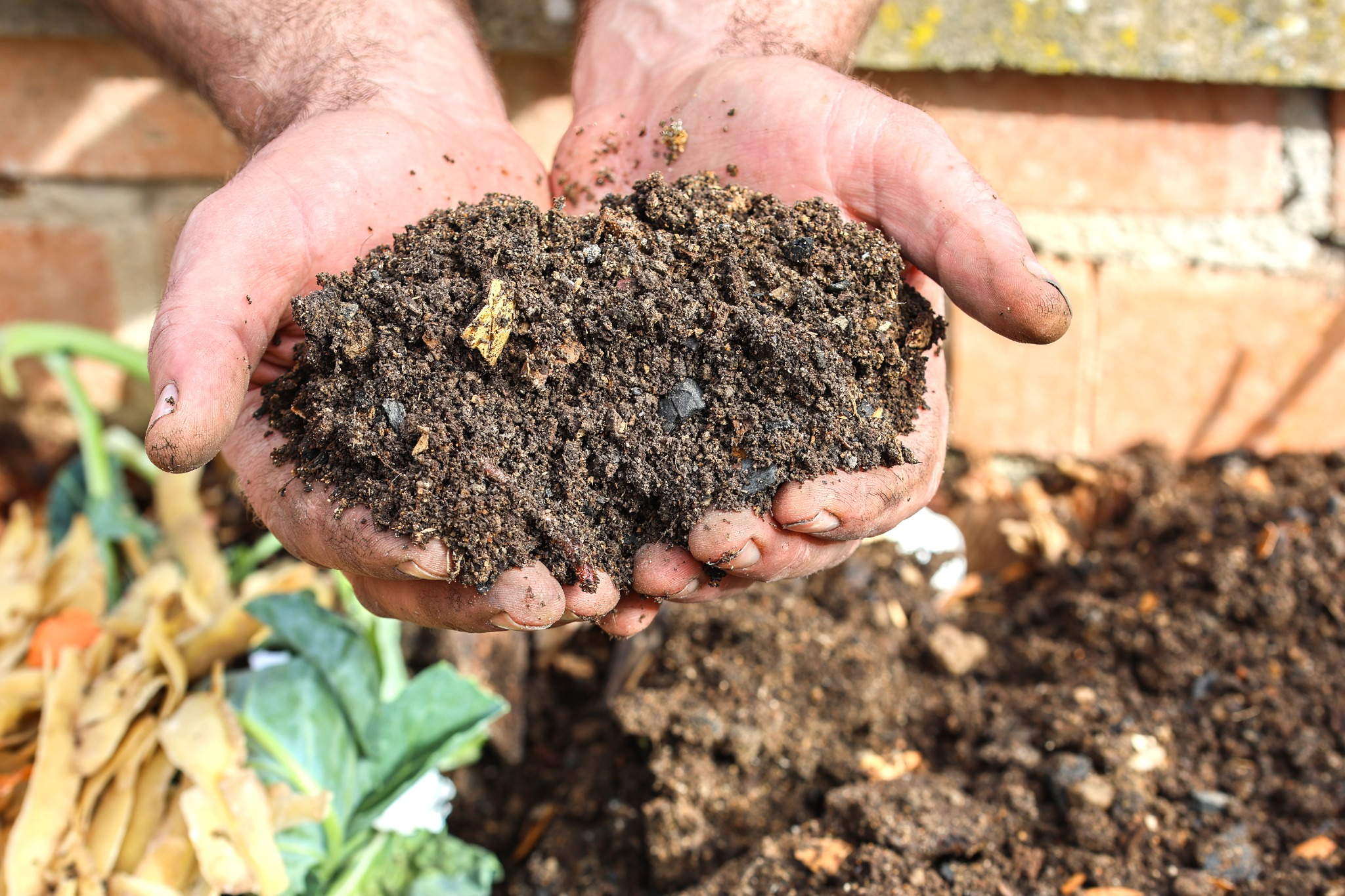 Soil Sassy Secrets
